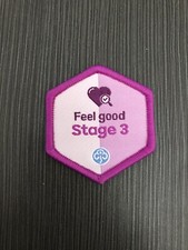 Girlguiding Feel Good Stage 3