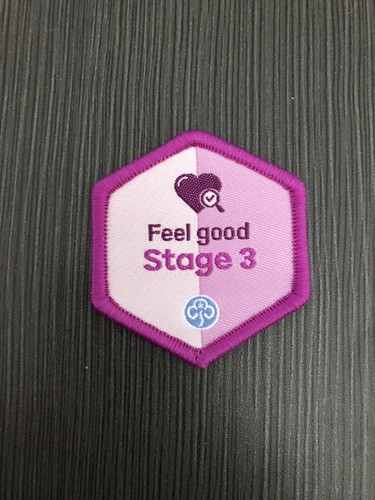 Girlguiding feel good stage - feel,