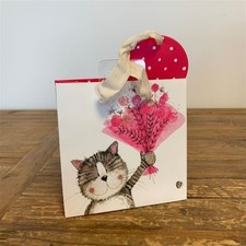 Pink Cat Bouquet Small Gift