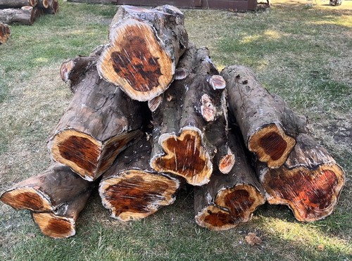 English yew woodturning - english, woodturning/wood
