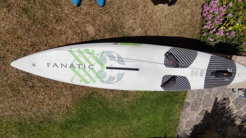 Fanatic ultra gecko - gecko, 265