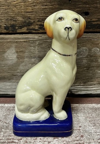 Staffordshire white pointer - staffordshire,