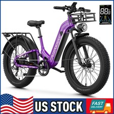 1800W Electric Bike for Adults