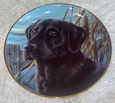 Vintage Franklin Mint Labrador Dog Collector Plate "Man's Best Friend" VGC