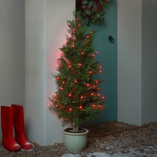 Red berry Christmas fairy 200