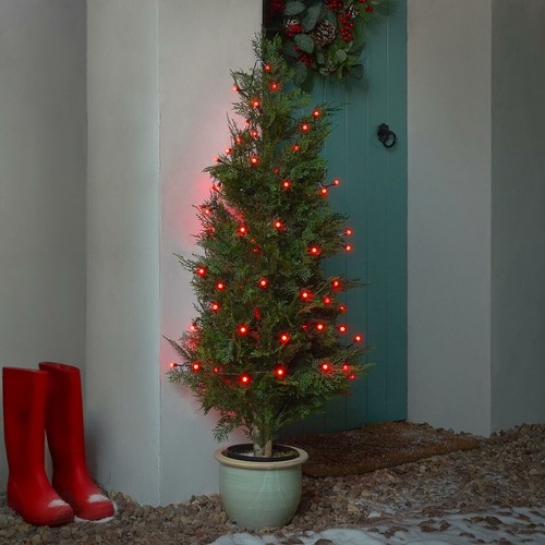Red berry christmas - fairy, 200