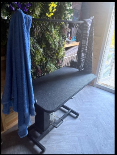 Heavy duty dog grooming - dog,