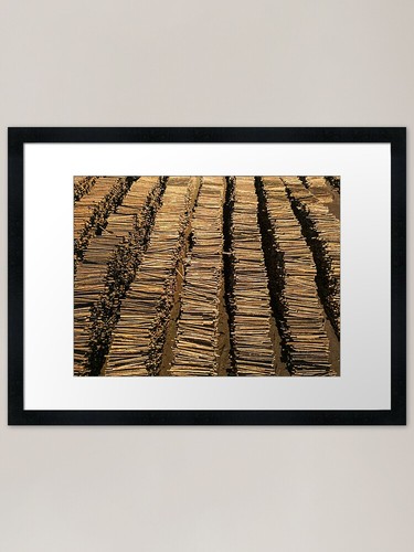 Lumber industry logging - lumber,