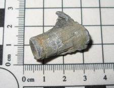 Zulu 1879 Battle of Isandlwana