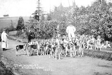 ftt-48 The Hounds, Fox Hunt