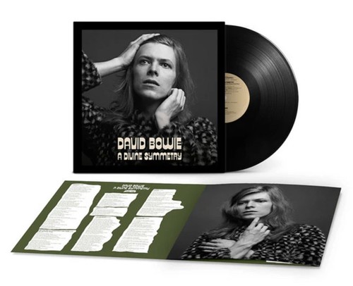 David bowie a divine - bowie,