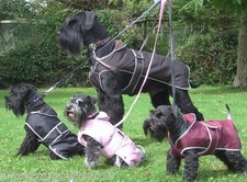 WATERPROOF DOG COAT / JACKET