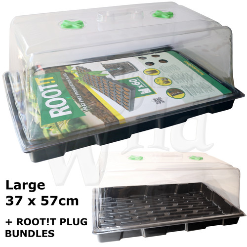 Root propagator large tall - root!t,