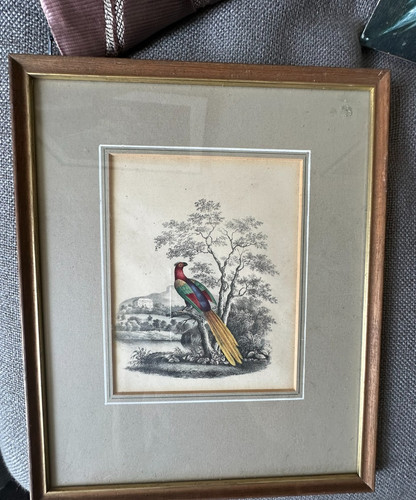 Hand colored copperplate - hand-colored,