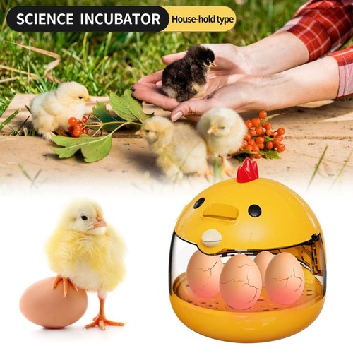 Mini hatchery machine full - hatchery,