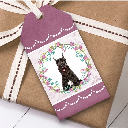 Giant schnauzer dog - giant, pink