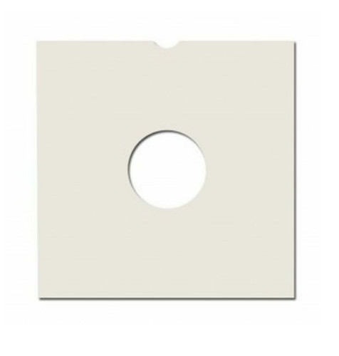 100 record sleeves - 100, 12"
