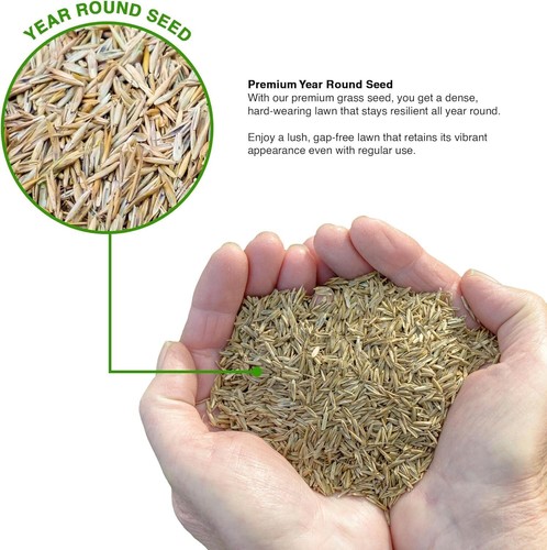 Groundmaster premium lawn - premium,