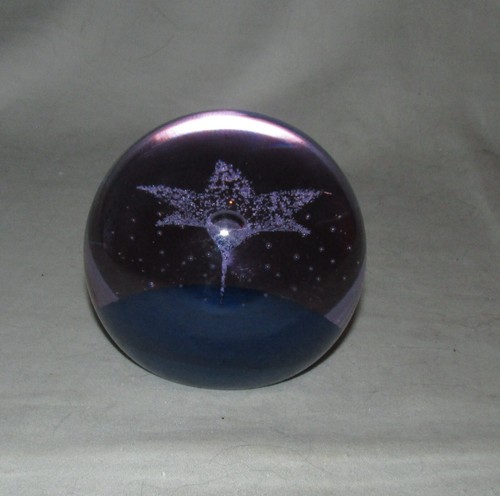 Caithness star flower - caithness,
