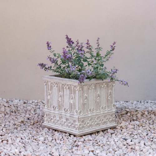 Primrose ceramic cube - primrose, outdoor