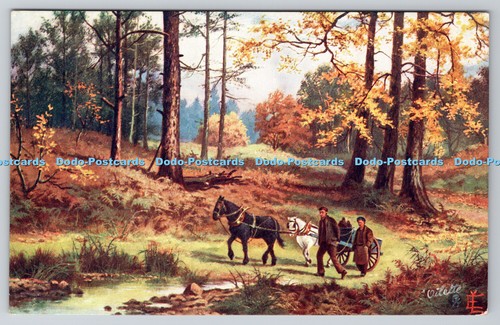 R737350 autumn the woods - r737350,