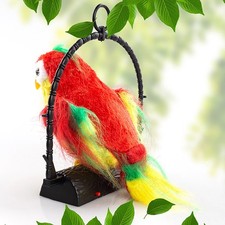 Talking parrot repeat - talking,