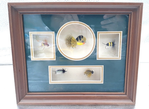 Five framed shadowboxed - /,