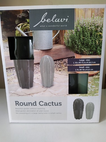 Ceramic cactus garden - cactus,