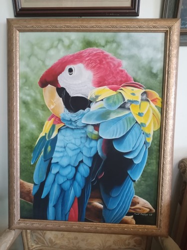 Macaw parrot oil painting - parrot,
