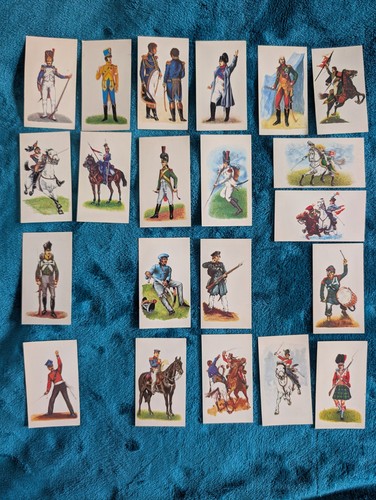 Doncella napoleonic - “doncella,