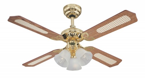 Traditional ceiling fan - traditional,