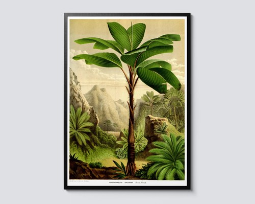 Tropical tree vintage - tropical,