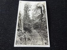 Tram Track Four Mile Creek Warburton Postcard Armadale Victoria Australia - 1079