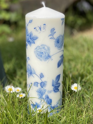 Rambling rose blue and - rambling,