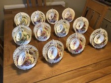 Royal Albert flower of the