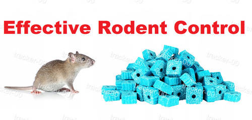 Effective fast formula - , rat