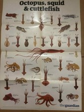 The Guardian Wallchart Poster