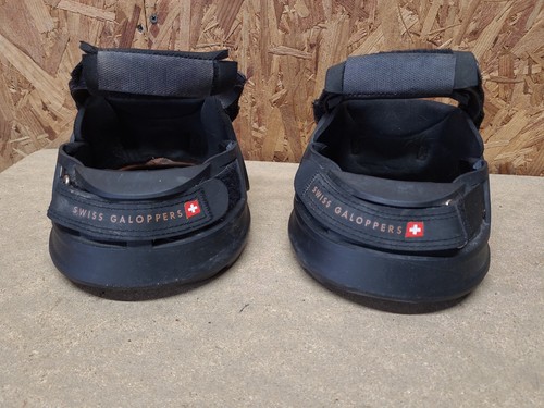 Swiss gallopers barefoot - swiss,