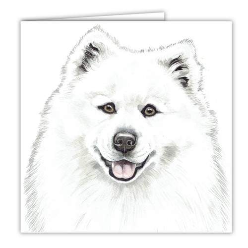 Samoyed greetings card - , dog