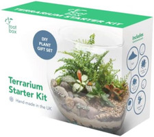 ™ Large Plant Terrarium Kit in Gift Box - Ideal for Succulents & Cacti