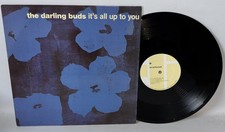 The Darling Buds – It's All
