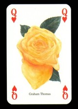 1 x playing card of the Graham
