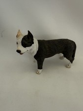 Pit Bull Terrier (Brindle) Dog