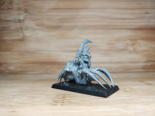 Night goblin champion - w, spider