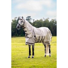 LeMieux Kudos Shower Pro Sweet