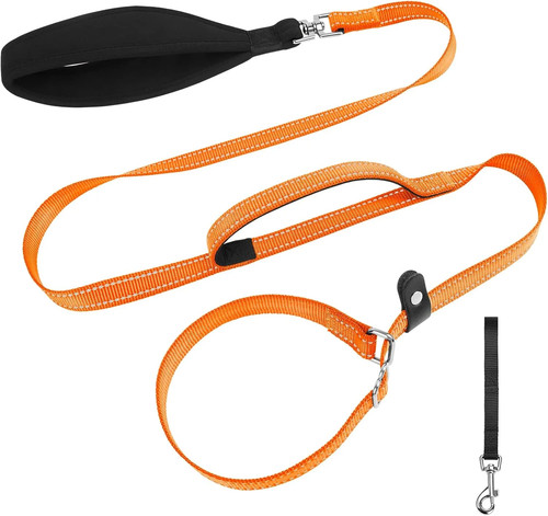 Training slip leash dog - training,