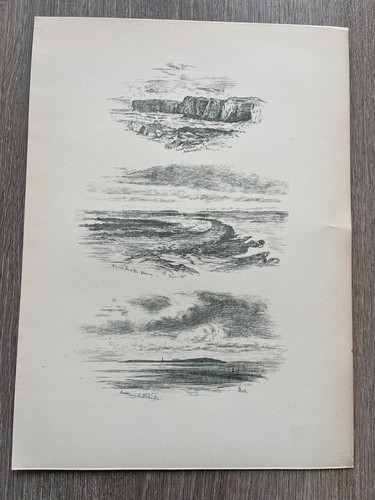 1881 print lamb - 1881,