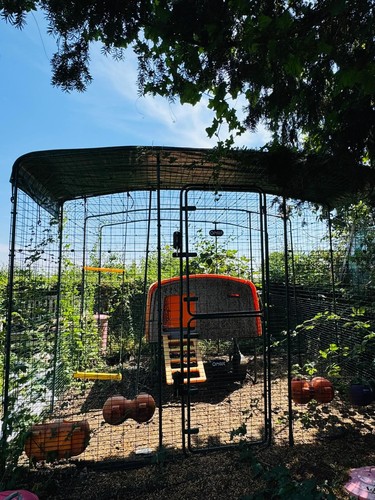 Omlet chicken eglu cube - cube, 2.7m