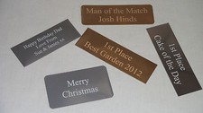 Diorama engraved plate - diorama,