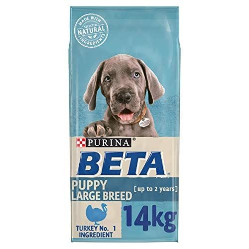 Beta puppy large - puppy,